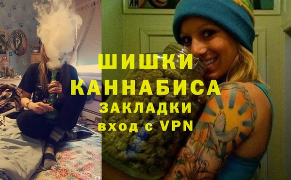 индика Балахна
