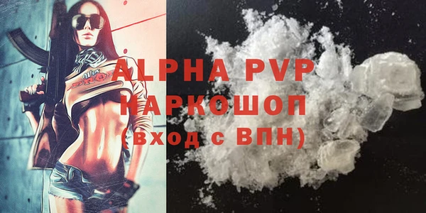 индика Балахна