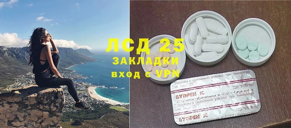 индика Балахна